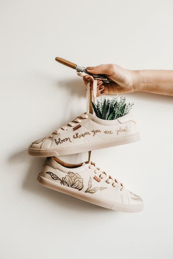 Plantes dans des chaussures